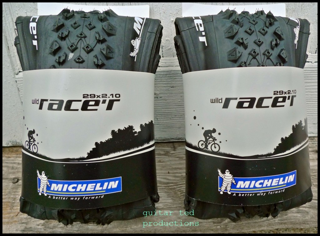 MICHELIN Wild Race´r
