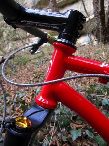 4 P29er