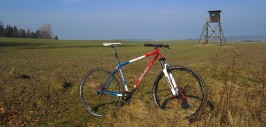 5 P29er