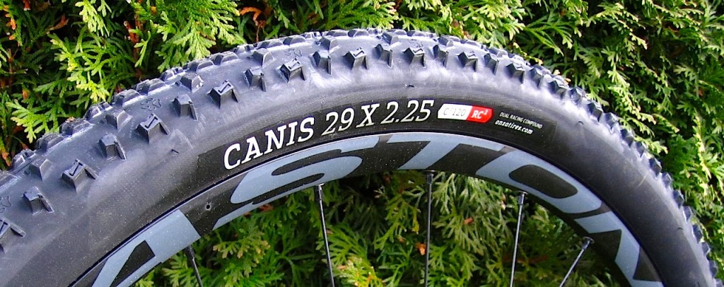 Onza Canis side
