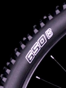 Logo 650b