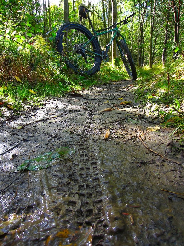 25 SURLY Knard footprint