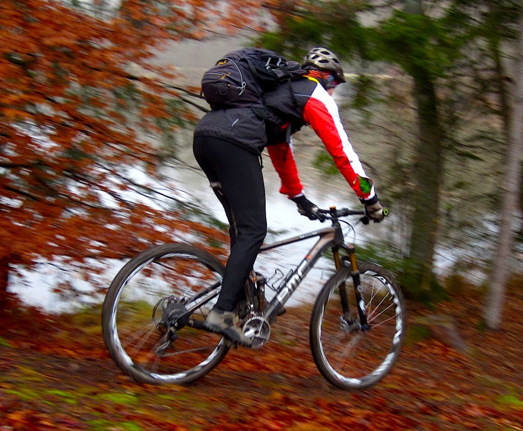30 BMC FS01