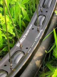 5 SURLY Rabbit Hole