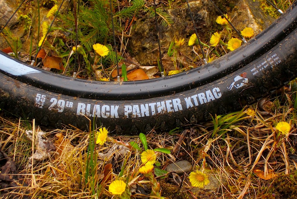 VREDESTEIN Black Panther Xtrac 29×2,2 – Zwischenstand