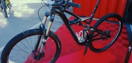 24 SPECIALIZED Enduro