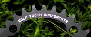 WTC tooth detail WTC tooth detail